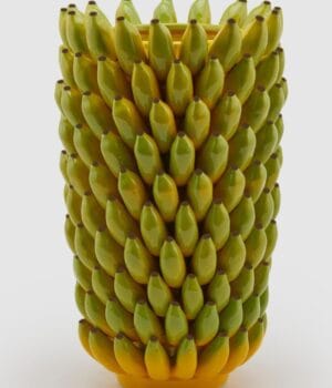 EDG Enzo De Gasperi Vase Chakra Bananas